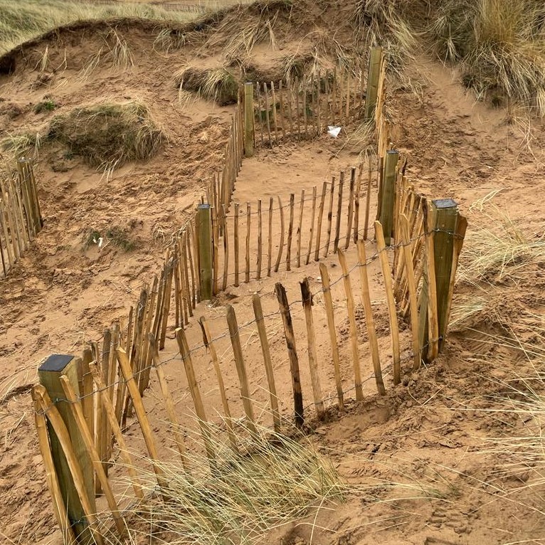 Fencing to help sand and vegetation build up in Stevenston Dunes