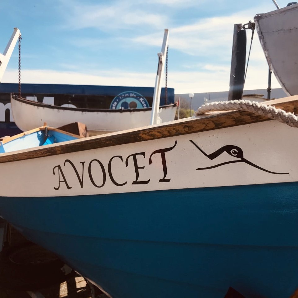Avocet is one of the skiffs built, along with the Garnock