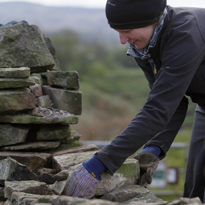 Volunteer dry stone walling - Credit RSPB Images