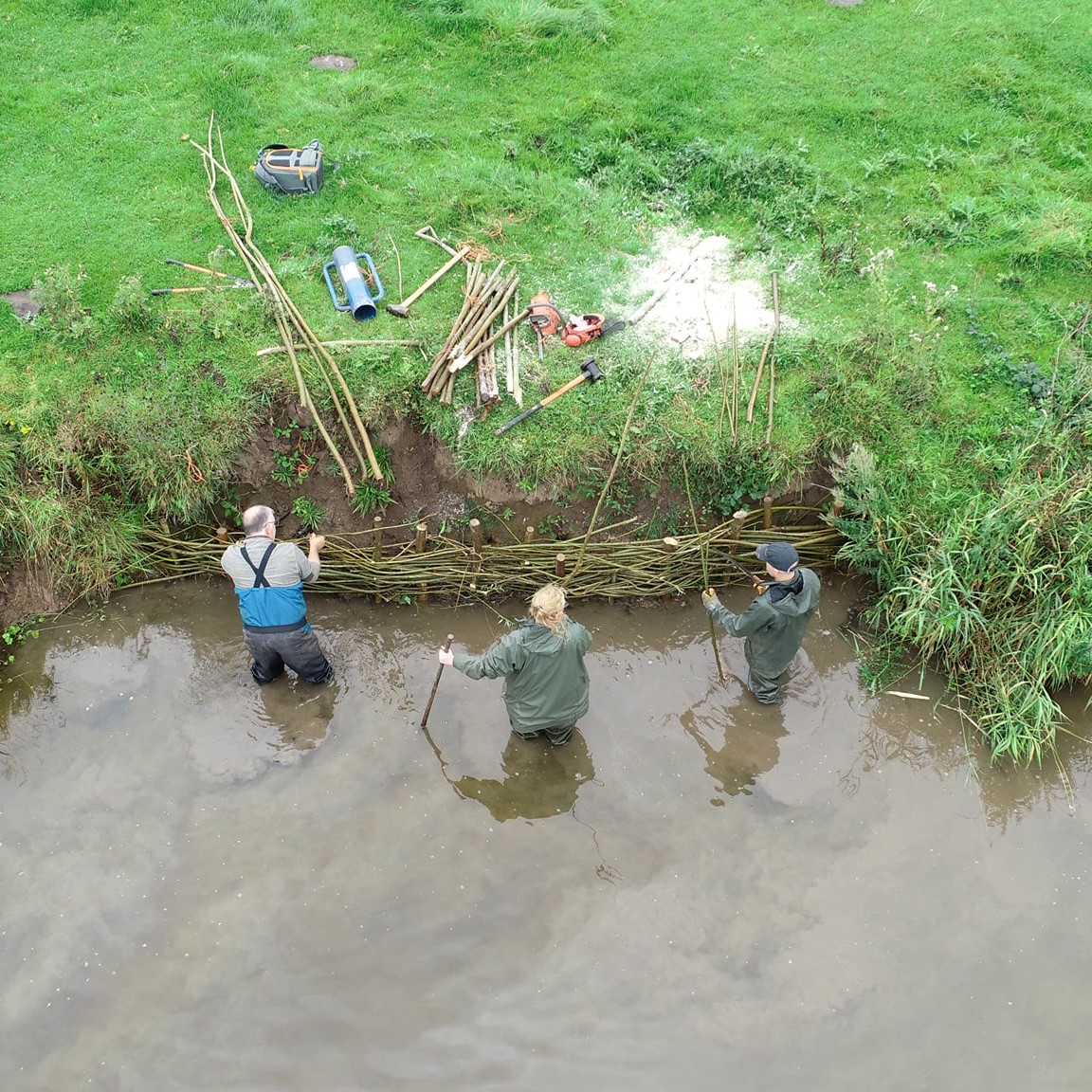 Willow spiling to help stabilise riverbank