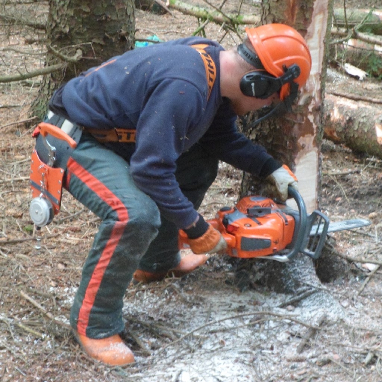 Cutting and felling trees