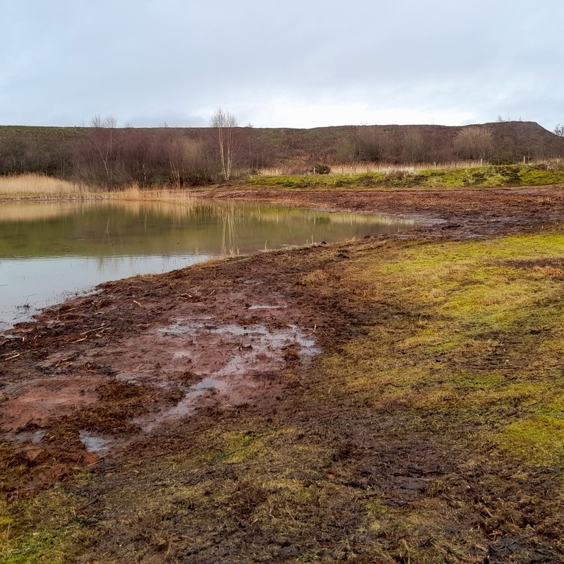 After pond excavation Photo credit: Scottish Wildlife Trust