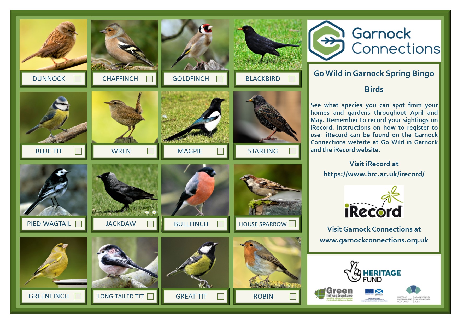 Go Wild in Garnock - Spring Bingo Birds card image
