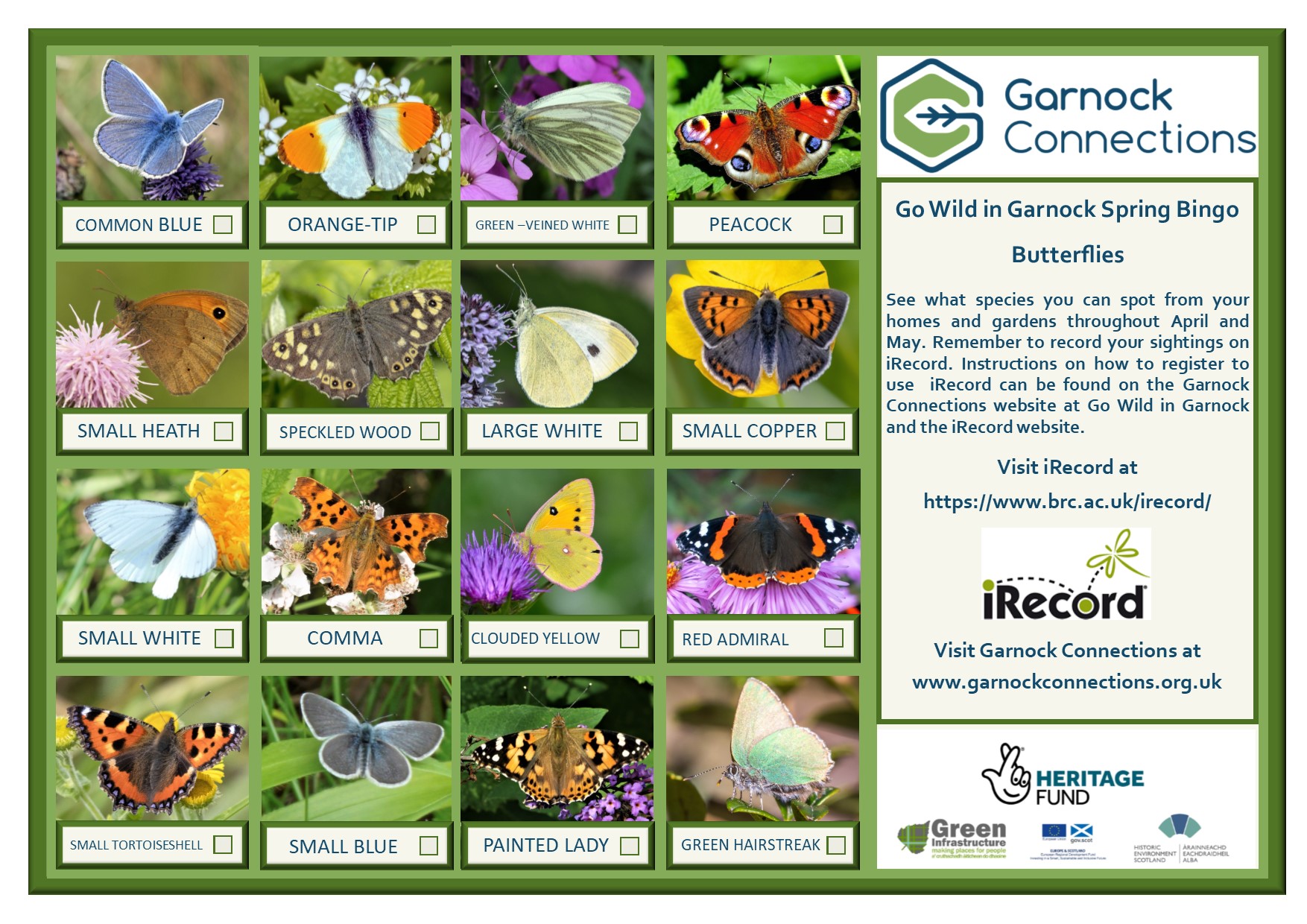 Go Wild in Garnock - Spring Bingo Butterflies card image
