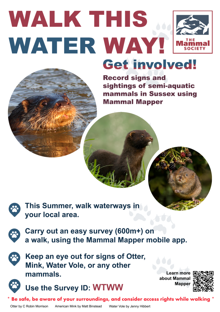 The Mammal Society Walk This Water Way ID Guide card image